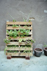 urban gardening