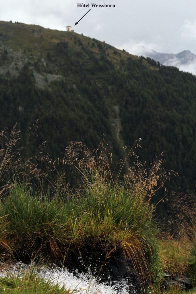 Hotel-Weisshorn-Wallis-Gebirgsbach-Blinkblink